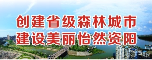 日日插黑丝影视创建省级森林城市 建设美丽怡然资阳